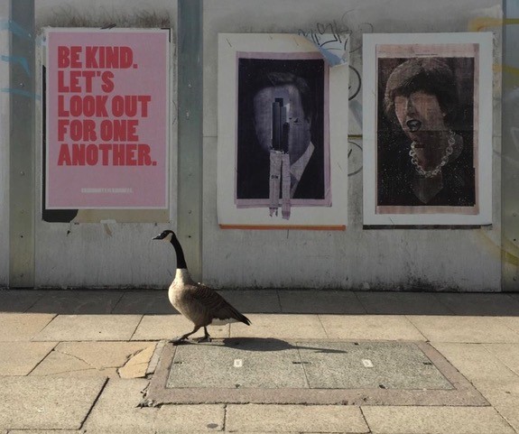 LHL_2020_013a: Photograph of a goose walking on a pavement.